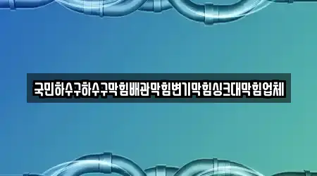 국민하수구하수구막힘배관막힘변기막힘싱크대막힘업체