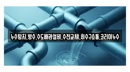 누수탐지,방수,수도배관설비,수전교체,하수구소통,코리아누수