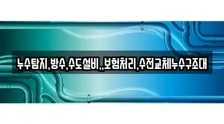 누수탐지,방수,수도설비,,보험처리,수전교체누수구조대