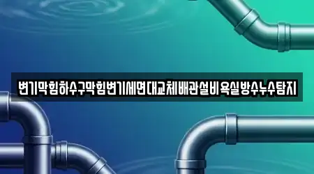변기막힘하수구막힘변기세면대교체배관설비욕실방수누수탐지