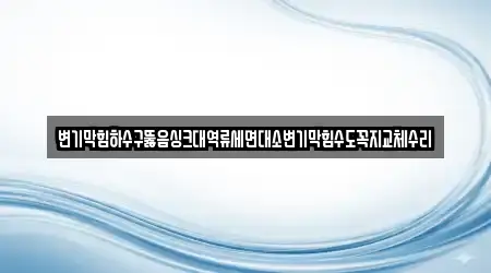 변기막힘하수구뚫음싱크대역류세면대소변기막힘수도꼭지교체수리