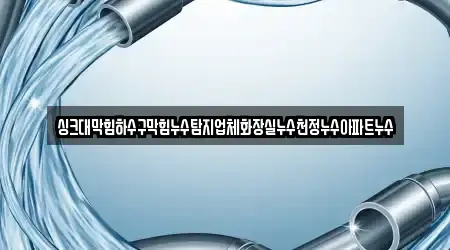 싱크대막힘하수구막힘누수탐지업체화장실누수천정누수아파트누수