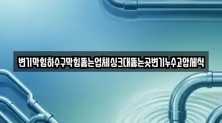 변기막힘하수구막힘뚫는업체싱크대뚫는곳변기누수고압세척