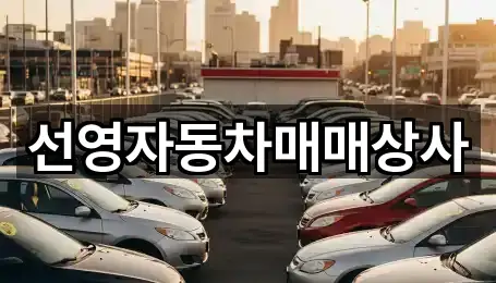 선영자동차매매상사