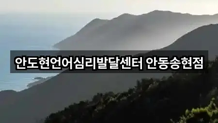 안도현언어심리발달센터 안동송현점