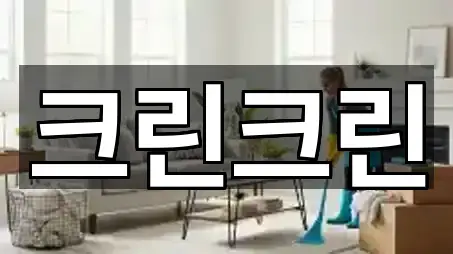 즉시 지도: 대전광역시 안영동 청소업체 5곳