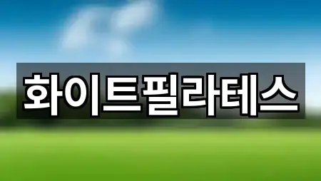 화이트필라테스