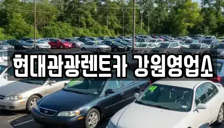 강원 강릉시 홍제동 렌트카 전문 현대관광렌트카 강원영업소