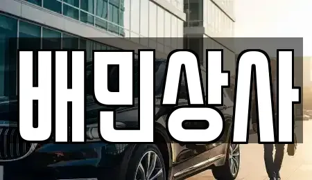 강원 강릉시 홍제동 중고차매매 전문 배민상사