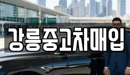 강원 강릉시 홍제동 단기렌트카,중고차매입,중고차매매,중고차,렌트카,장기렌트카