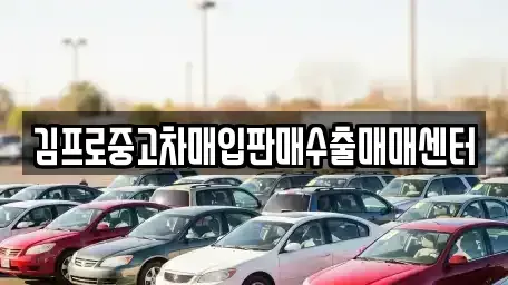 강원 홍천군 화촌면 중고차매입 전문 김프로중고차매입판매수출매매센터