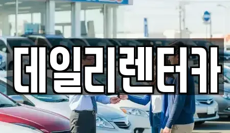 경기 성남시 분당구 정자동 단기렌트카 전문 데일리렌터카