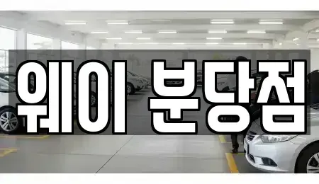 경기 성남시 분당구 정자동 단기렌트카 전문 웨이 분당점