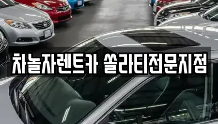 경기 성남시 분당구 정자동 렌트카 전문 차놀자렌트카 쏠라티전문지점
