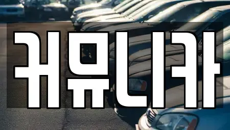 경기 성남시 분당구 정자동 렌트카 전문 커뮤니카