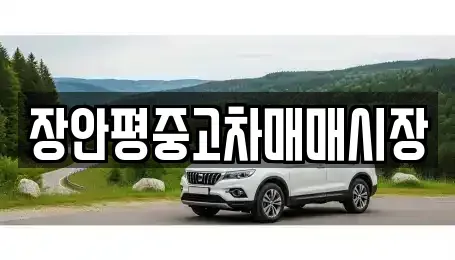 경기 성남시 분당구 정자동 중고차매매 전문 장안평중고차매매시장