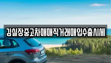 경기 성남시 분당구 정자동 중고차매입 전문 김실장중고차매매직거래매입수출시세