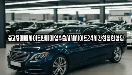 경기 성남시 분당구 정자동 중고차매입 전문 중고차매매사이트판매매입수출시세사이트24시간친절한상담