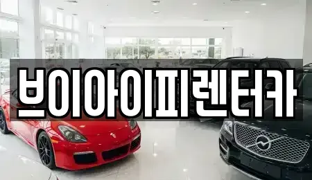 경기 수원시 영통구 신동 렌트카 전문 브이아이피렌터카