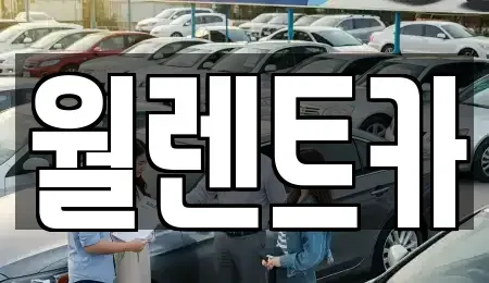 경기 수원시 영통구 신동 렌트카 전문 월렌트카