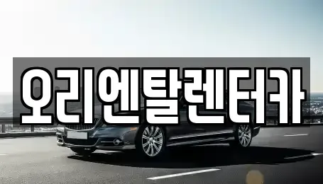 경기 수원시 영통구 신동 장기렌트카 전문 오리엔탈렌터카