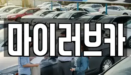 경기 수원시 영통구 신동 중고차매매 전문 마이러브카
