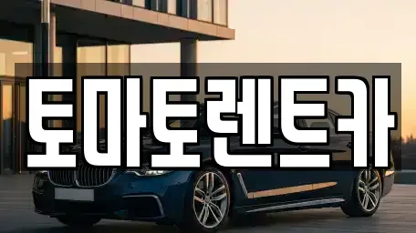 경기 양평군 양서면 렌트카 전문 토마토렌트카