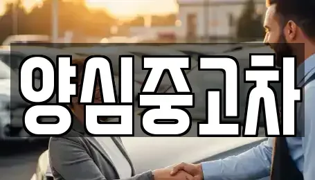 경기 양평군 양서면 중고차 전문 양심중고차