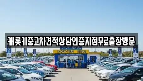 경기 양평군 양서면 중고차 전문 캐롯카중고차견적상담인증지점무료출장방문