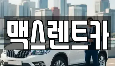 경기 용인시 기흥구 언남동 렌트카 전문 맥스렌트카