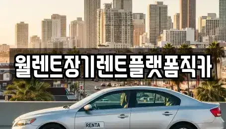 경기 용인시 기흥구 언남동 장기렌트카 전문 월렌트장기렌트플랫폼직카