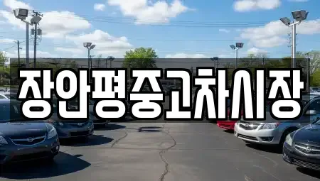 경기 용인시 기흥구 언남동 중고차매매 전문 장안평중고차시장