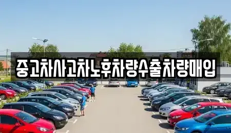 경기 용인시 기흥구 언남동 중고차매매 전문 중고차사고차노후차량수출차량매입