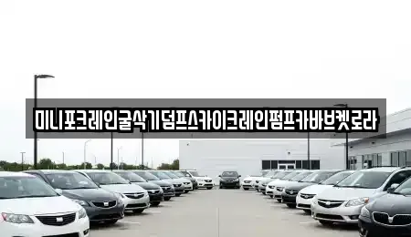 경기 용인시 기흥구 언남동 중고차매입 전문 미니포크레인굴삭기덤프스카이크레인펌프카바브켓로라