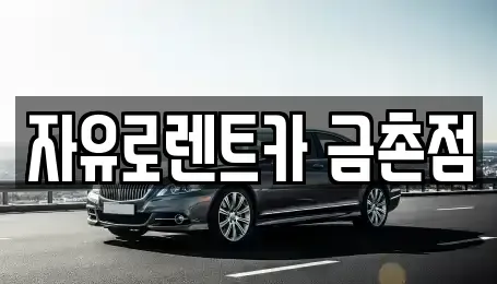 경기 파주시 월롱면 렌트카 전문 자유로렌트카 금촌점