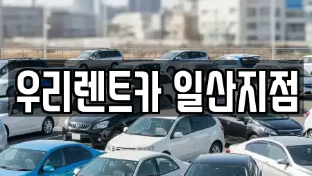 경기도 고양시 덕양구 원당동 렌트카 전문 우리렌트카 일산지점