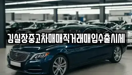 경기도 고양시 덕양구 원당동 중고차 전문 김실장중고차매매직거래매입수출시세