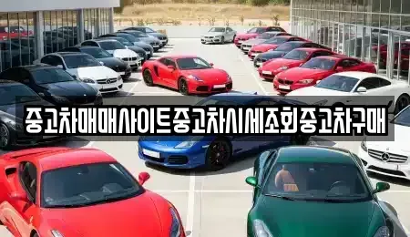 경기도 고양시 덕양구 원당동 중고차 전문 중고차매매사이트중고차시세조회중고차구매