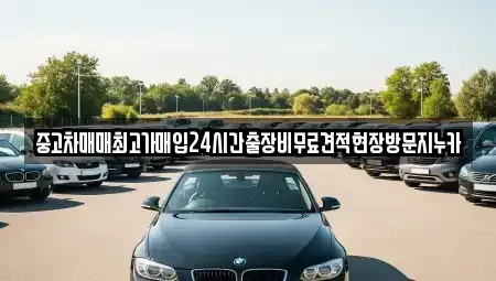경기도 고양시 덕양구 원당동 중고차 전문 중고차매매최고가매입24시간출장비무료견적현장방문지누카