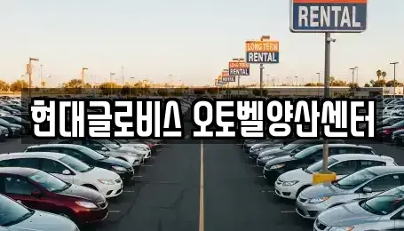 경상남도 양산시 산막동 중고차매매 전문 현대글로비스 오토벨양산센터