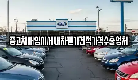 경상남도 양산시 산막동 단기렌트카,중고차매입,중고차매매,중고차,렌트카,장기렌트카