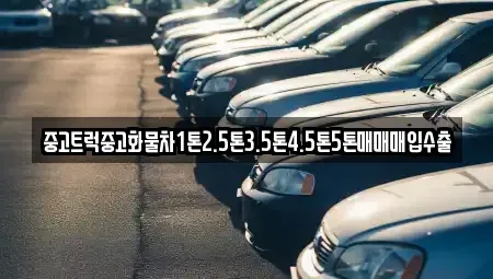 대구 달서구 감삼동 중고차매매 전문 중고트럭중고화물차1톤2.5톤3.5톤4.5톤5톤매매매입수출