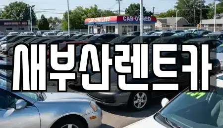 부산 서구 토성동5가 렌트카 전문 새부산렌트카