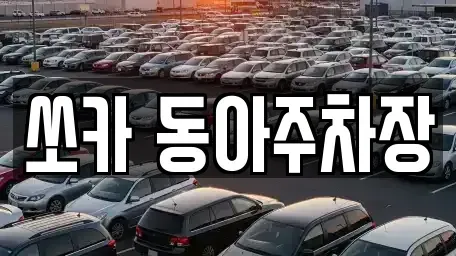 부산 서구 토성동5가 렌트카 전문 쏘카 동아주차장