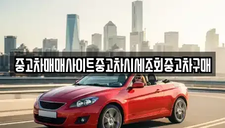 서울 중구 수표동 중고차매매,단기렌트카,중고차매입,장기렌트카,중고차,렌트카