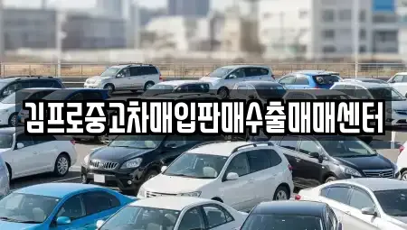 서울 중구 수표동 중고차매입 전문 김프로중고차매입판매수출매매센터