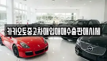 서울 중구 수표동 중고차매입 전문 카카오토중고차매입매매수출판매시세