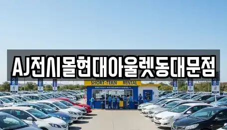 서울 중구 을지로5가 렌트카 전문 AJ전시몰현대아울렛동대문점