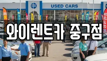 서울 중구 을지로5가 렌트카 전문 와이렌트카 중구점