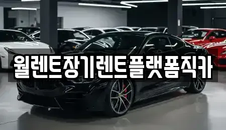 서울 중구 을지로5가 장기렌트카 전문 월렌트장기렌트플랫폼직카